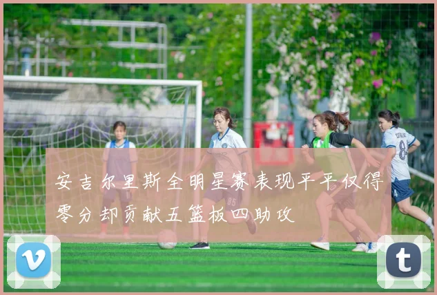 安吉尔里斯全明星赛表现平平仅得零分却贡献五篮板四助攻